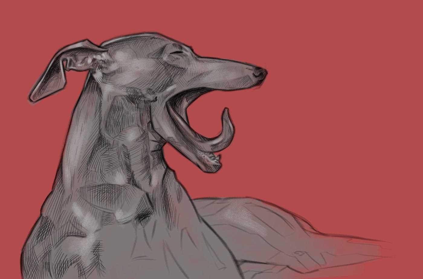 A digital drawing of a dog with a long narrow snout and slim ears in greyscale using hatching against a bright salmon background; the dog is in profile and yawning.